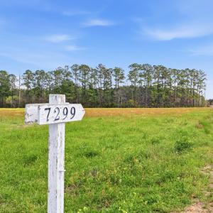 Photo #2 of 7299 Cartrette Rd., Aynor, SC 81.3 acres