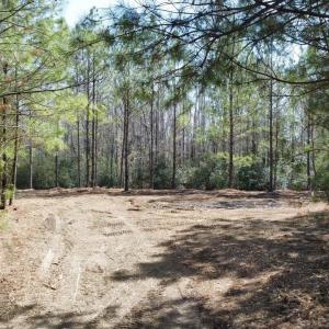 Photo #10 of TBD Green Sea Rd., Green Sea, SC 16.4 acres