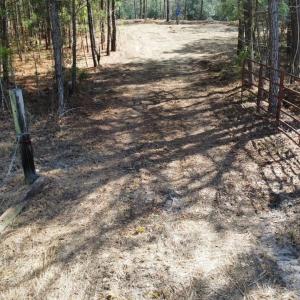 Photo #5 of TBD Green Sea Rd., Green Sea, SC 16.4 acres