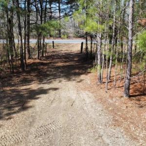 Photo #4 of TBD Green Sea Rd., Green Sea, SC 16.4 acres