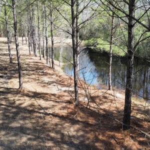 Photo #8 of TBD Green Sea Rd., Green Sea, SC 16.4 acres