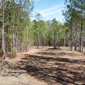 Photo #6 of TBD Green Sea Rd., Green Sea, SC 16.4 acres