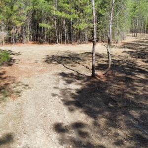 Photo #9 of TBD Green Sea Rd., Green Sea, SC 16.4 acres