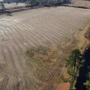Photo #4 of tbd Black Creek Rd., Nichols, SC 72.5 acres
