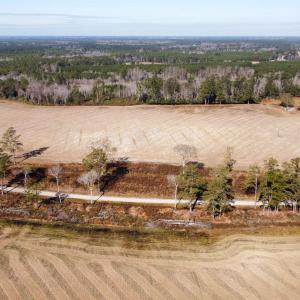 Photo #3 of tbd Black Creek Rd., Nichols, SC 72.5 acres