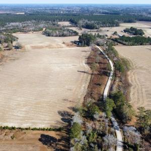 Photo #1 of tbd Black Creek Rd., Nichols, SC 72.5 acres