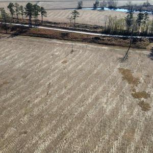 Photo #7 of tbd Black Creek Rd., Nichols, SC 72.5 acres