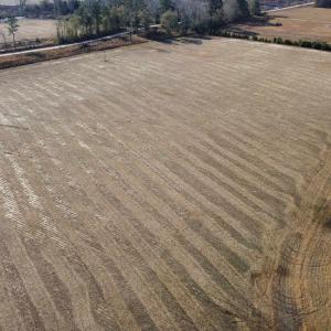 Photo #9 of tbd Black Creek Rd., Nichols, SC 69.8 acres