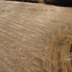 Photo #5 of tbd Black Creek Rd., Nichols, SC 69.8 acres