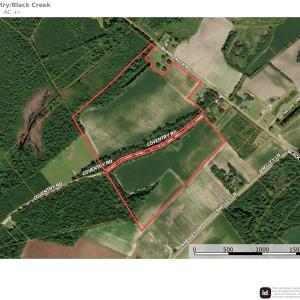 Photo #2 of tbd Black Creek Rd., Nichols, SC 69.8 acres
