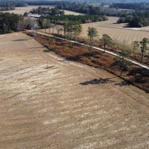 Photo #10 of tbd Black Creek Rd., Nichols, SC 69.8 acres