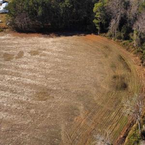 Photo #6 of tbd Black Creek Rd., Nichols, SC 69.8 acres