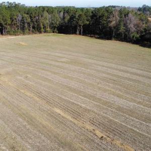 Photo #12 of TBD Highway 917, Nichols, SC 20.9 acres