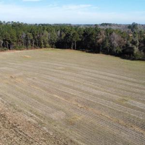 Photo #4 of TBD Highway 917, Nichols, SC 20.9 acres