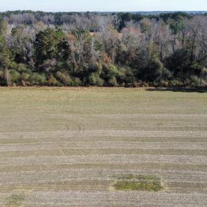 Photo #11 of TBD Highway 917, Nichols, SC 20.9 acres