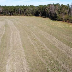 Photo #22 of TBD Highway 917, Nichols, SC 20.9 acres