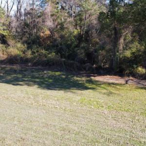 Photo #23 of TBD Highway 917, Nichols, SC 20.9 acres