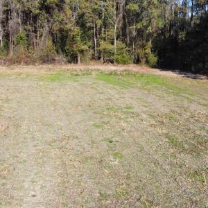 Photo #20 of TBD Highway 917, Nichols, SC 20.9 acres