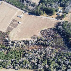 Photo #10 of TBD Highway 917, Nichols, SC 20.9 acres