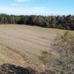 Photo #5 of TBD Highway 917, Nichols, SC 20.9 acres