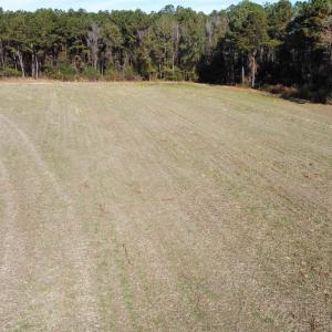 Photo #21 of TBD Highway 917, Nichols, SC 20.9 acres