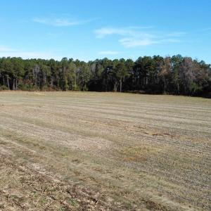 Photo #13 of TBD Highway 917, Nichols, SC 20.9 acres