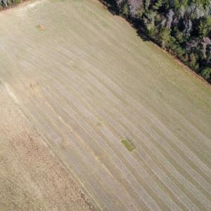 Photo #8 of TBD Highway 917, Nichols, SC 20.9 acres