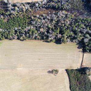 Photo #9 of TBD Highway 917, Nichols, SC 20.9 acres