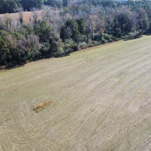 Photo #2 of TBD Highway 917, Nichols, SC 21.4 acres