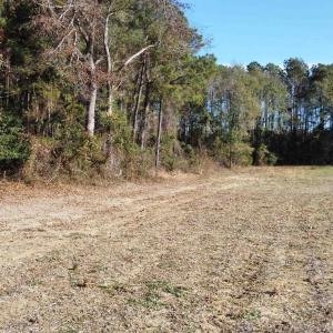 Photo #7 of TBD Highway 917, Nichols, SC 21.4 acres