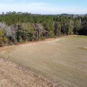 Photo #3 of TBD Highway 917, Nichols, SC 21.4 acres