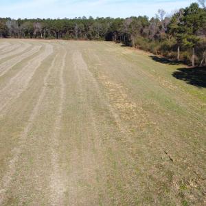 Photo #8 of TBD Highway 917, Nichols, SC 21.4 acres
