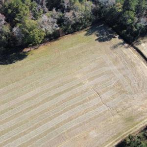 Photo #5 of TBD Highway 917, Nichols, SC 21.4 acres
