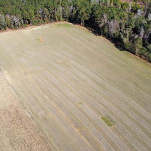 Photo #4 of TBD Highway 917, Nichols, SC 21.4 acres