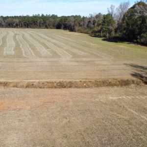Photo #9 of TBD Highway 917, Nichols, SC 21.4 acres