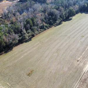 Photo #14 of TBD Highway 917, Nichols, SC 21.4 acres