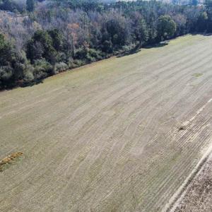 Photo #1 of TBD Highway 917, Nichols, SC 21.4 acres