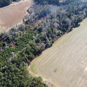 Photo #13 of TBD Highway 917, Nichols, SC 21.4 acres