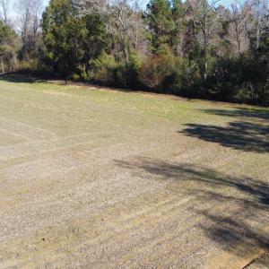 Photo #11 of TBD Highway 917, Nichols, SC 21.4 acres