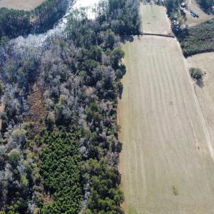 Photo #12 of TBD Highway 917, Nichols, SC 21.4 acres