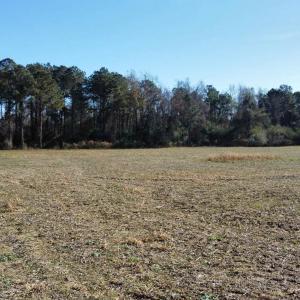 Photo #6 of TBD Highway 917, Nichols, SC 21.4 acres