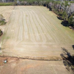 Photo #10 of TBD Highway 917, Nichols, SC 21.4 acres