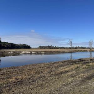 Photo #25 of TBD Beth Dr., Nichols, SC 46.9 acres
