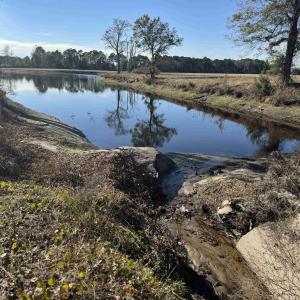 Photo #26 of TBD Beth Dr., Nichols, SC 46.9 acres