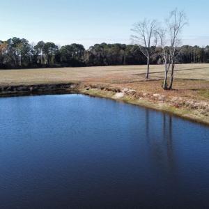 Photo #28 of TBD Beth Dr., Nichols, SC 46.9 acres