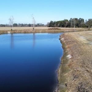 Photo #32 of TBD Beth Dr., Nichols, SC 46.9 acres