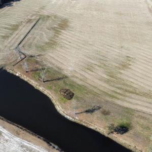 Photo #16 of TBD Beth Dr., Nichols, SC 46.9 acres
