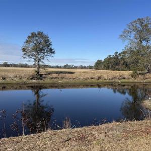 Photo #31 of TBD Beth Dr., Nichols, SC 46.9 acres