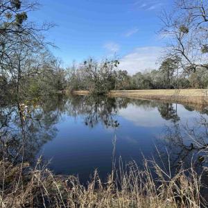 Photo #22 of TBD Beth Dr., Nichols, SC 46.9 acres