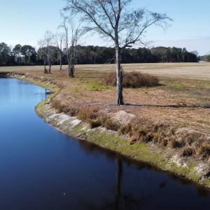 Photo #24 of TBD Beth Dr., Nichols, SC 46.9 acres